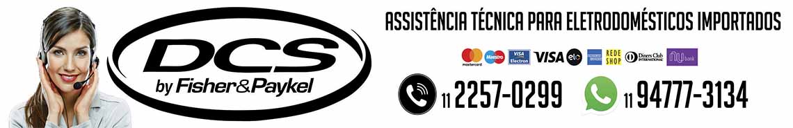 Assistência técnica churrasqueira DCS